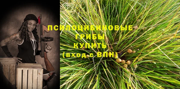 прущие крисы Архангельск