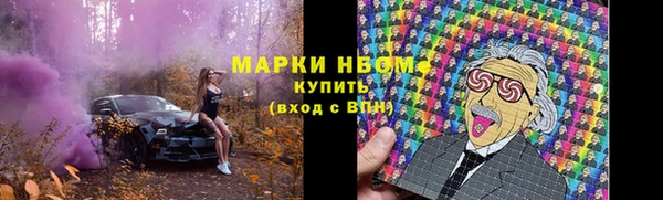 амф Краснослободск